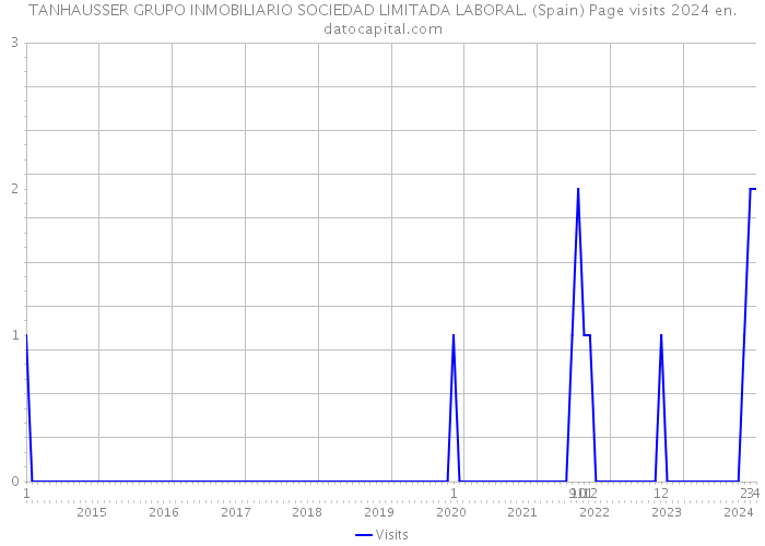 TANHAUSSER GRUPO INMOBILIARIO SOCIEDAD LIMITADA LABORAL. (Spain) Page visits 2024 