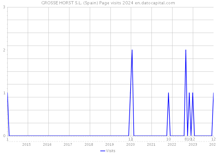 GROSSE HORST S.L. (Spain) Page visits 2024 