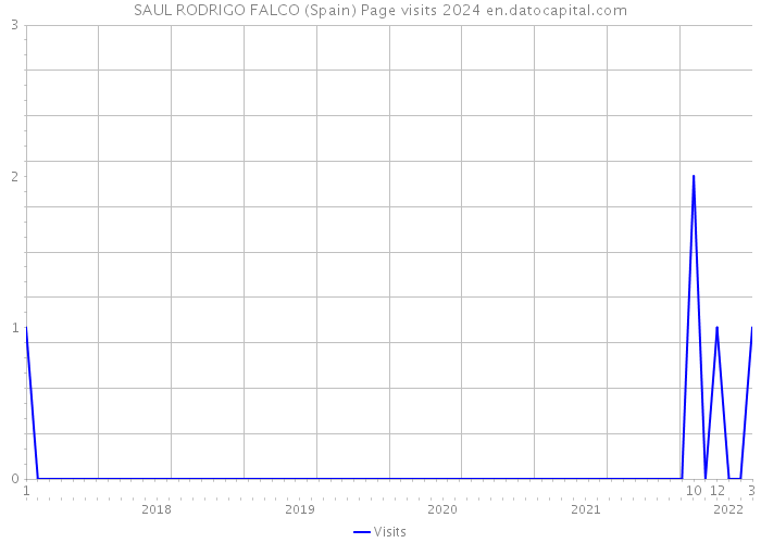 SAUL RODRIGO FALCO (Spain) Page visits 2024 