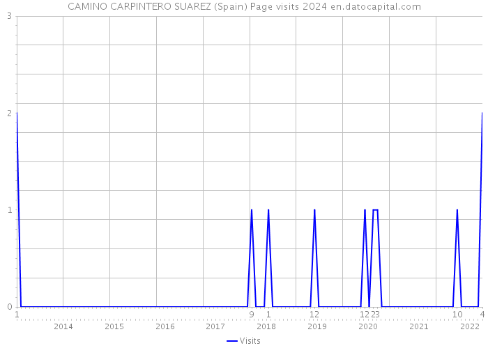 CAMINO CARPINTERO SUAREZ (Spain) Page visits 2024 