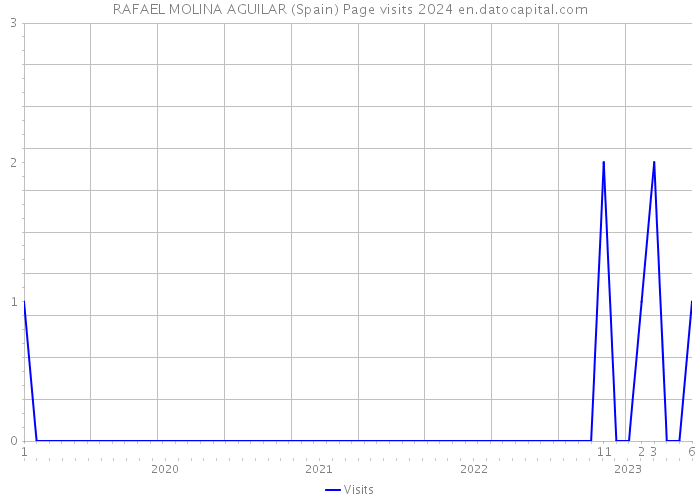 RAFAEL MOLINA AGUILAR (Spain) Page visits 2024 