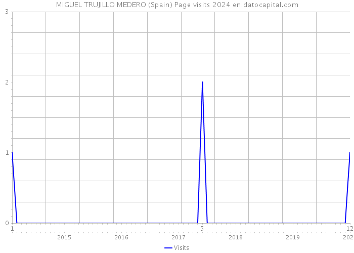 MIGUEL TRUJILLO MEDERO (Spain) Page visits 2024 