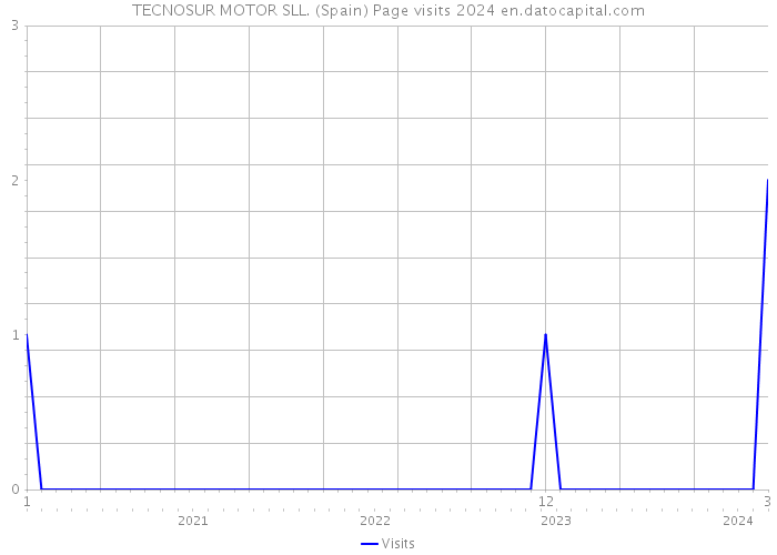 TECNOSUR MOTOR SLL. (Spain) Page visits 2024 