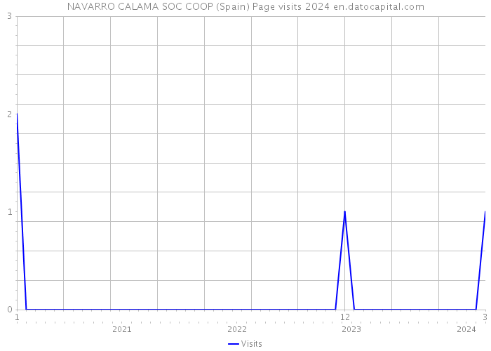 NAVARRO CALAMA SOC COOP (Spain) Page visits 2024 