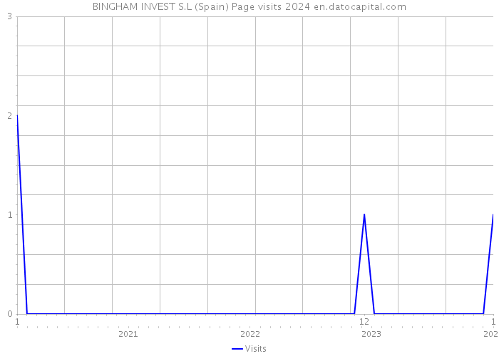 BINGHAM INVEST S.L (Spain) Page visits 2024 