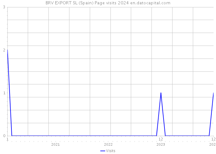 BRV EXPORT SL (Spain) Page visits 2024 