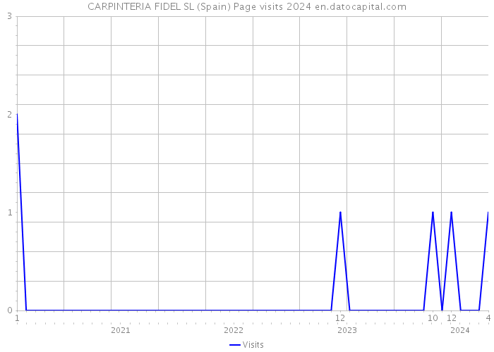CARPINTERIA FIDEL SL (Spain) Page visits 2024 