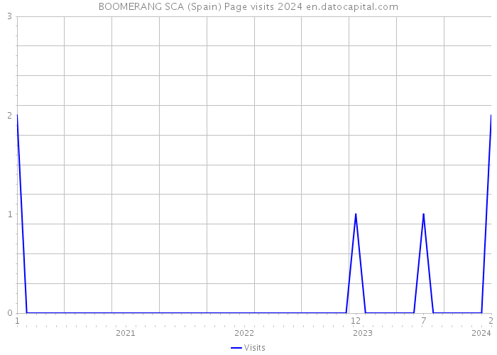 BOOMERANG SCA (Spain) Page visits 2024 