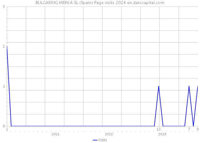 BULGARING MERKA SL (Spain) Page visits 2024 