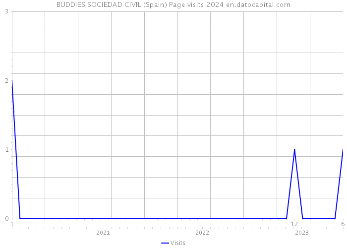 BUDDIES SOCIEDAD CIVIL (Spain) Page visits 2024 