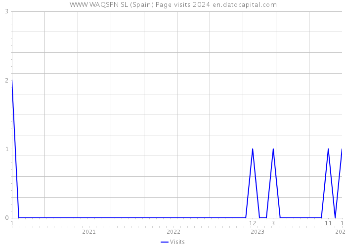 WWW WAQSPN SL (Spain) Page visits 2024 