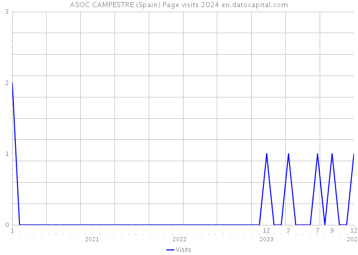 ASOC CAMPESTRE (Spain) Page visits 2024 