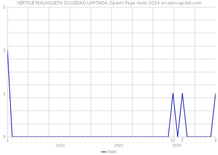 VERTICE MALAGUETA SOCIEDAD LIMITADA (Spain) Page visits 2024 