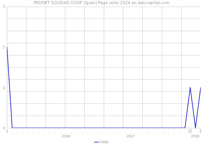 PRONET SOCIDAD COOP (Spain) Page visits 2024 