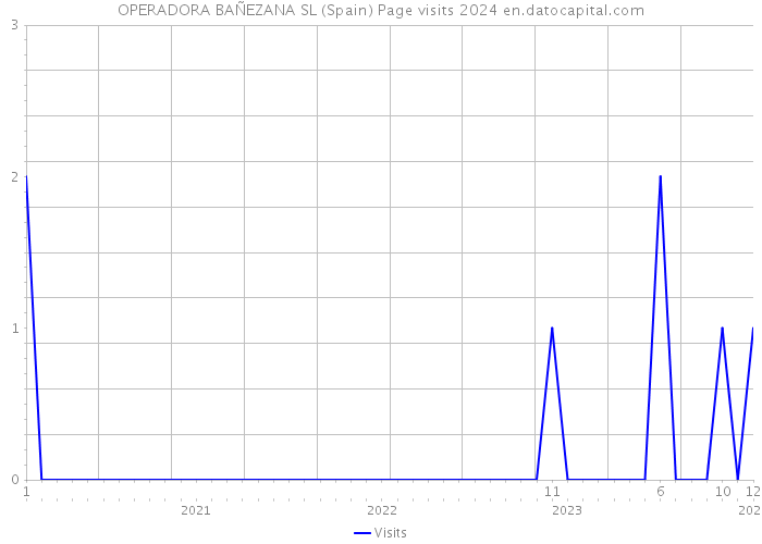 OPERADORA BAÑEZANA SL (Spain) Page visits 2024 