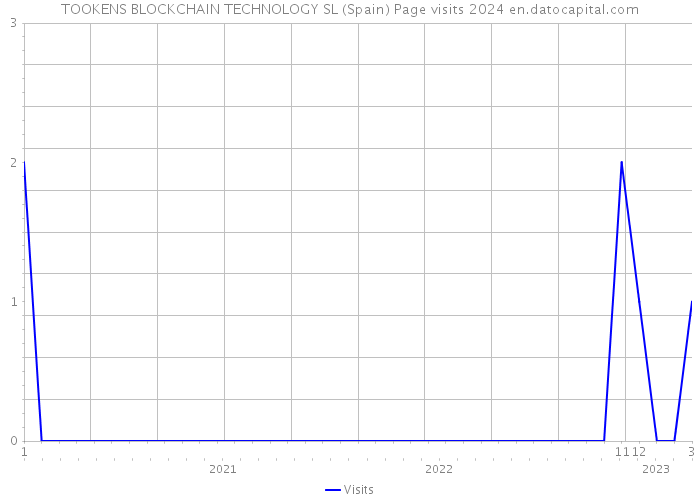 TOOKENS BLOCKCHAIN TECHNOLOGY SL (Spain) Page visits 2024 