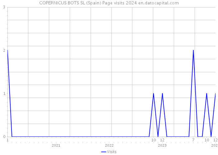 COPERNICUS BOTS SL (Spain) Page visits 2024 