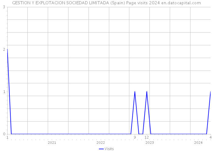 GESTION Y EXPLOTACION SOCIEDAD LIMITADA (Spain) Page visits 2024 