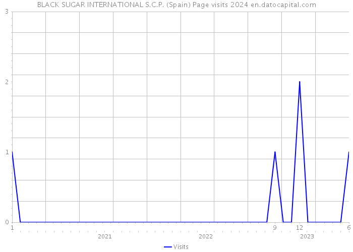 BLACK SUGAR INTERNATIONAL S.C.P. (Spain) Page visits 2024 