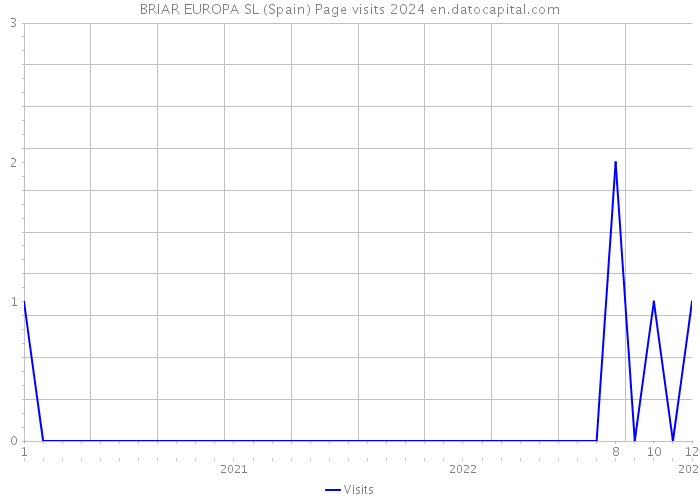 BRIAR EUROPA SL (Spain) Page visits 2024 