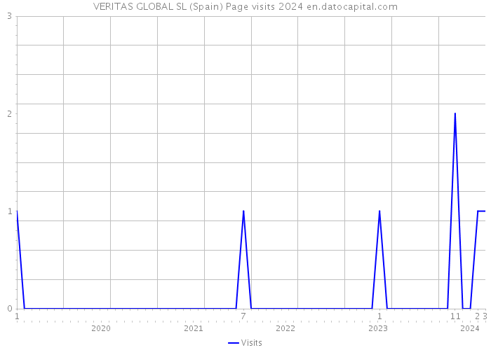 VERITAS GLOBAL SL (Spain) Page visits 2024 