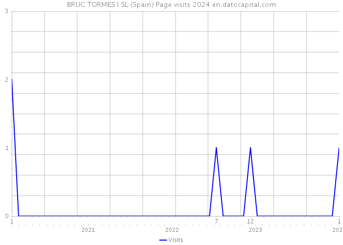 BRUC TORMES I SL (Spain) Page visits 2024 