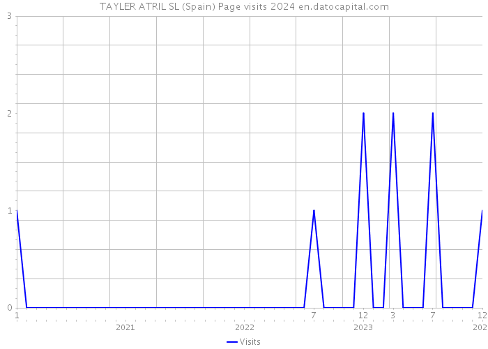 TAYLER ATRIL SL (Spain) Page visits 2024 