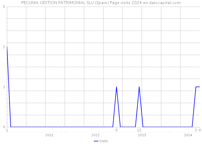 PECUNIA GESTION PATRIMONIAL SLU (Spain) Page visits 2024 