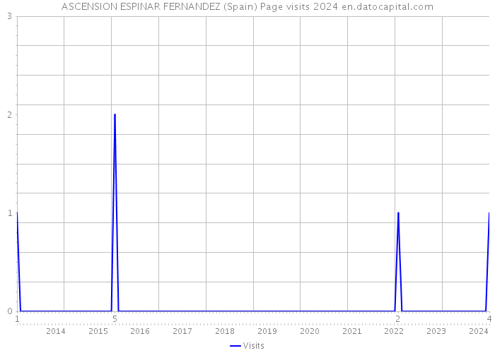ASCENSION ESPINAR FERNANDEZ (Spain) Page visits 2024 