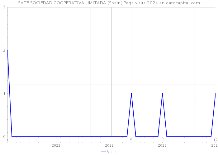 SATE SOCIEDAD COOPERATIVA LIMITADA (Spain) Page visits 2024 