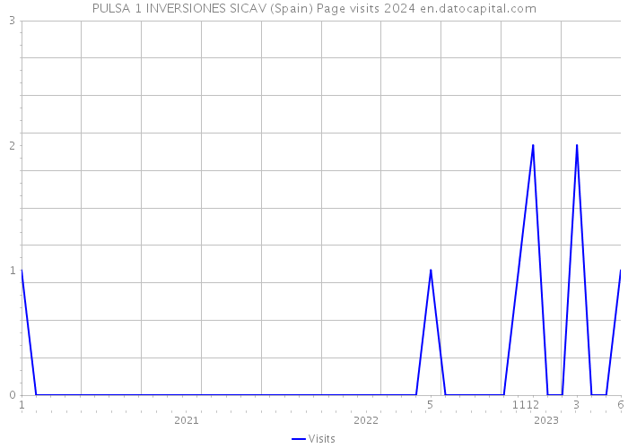 PULSA 1 INVERSIONES SICAV (Spain) Page visits 2024 