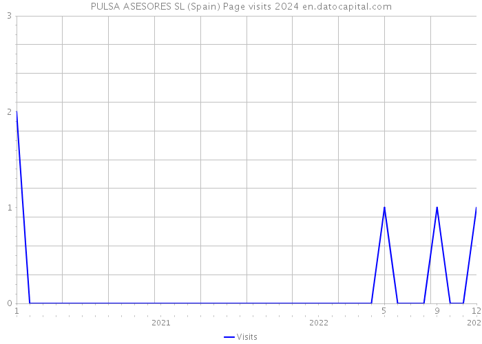 PULSA ASESORES SL (Spain) Page visits 2024 