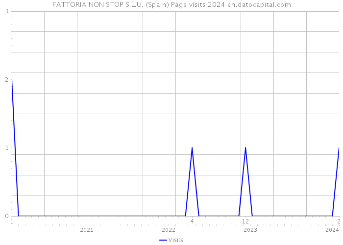 FATTORIA NON STOP S.L.U. (Spain) Page visits 2024 