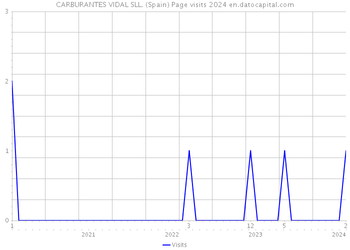 CARBURANTES VIDAL SLL. (Spain) Page visits 2024 