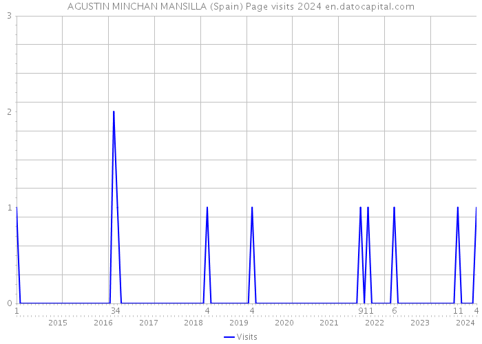 AGUSTIN MINCHAN MANSILLA (Spain) Page visits 2024 