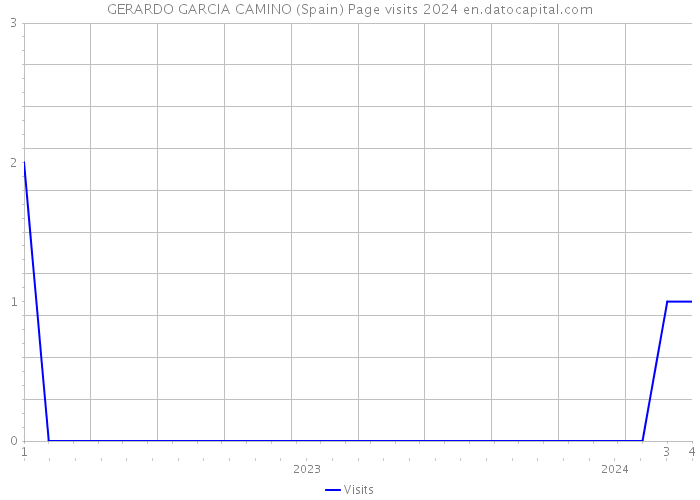GERARDO GARCIA CAMINO (Spain) Page visits 2024 
