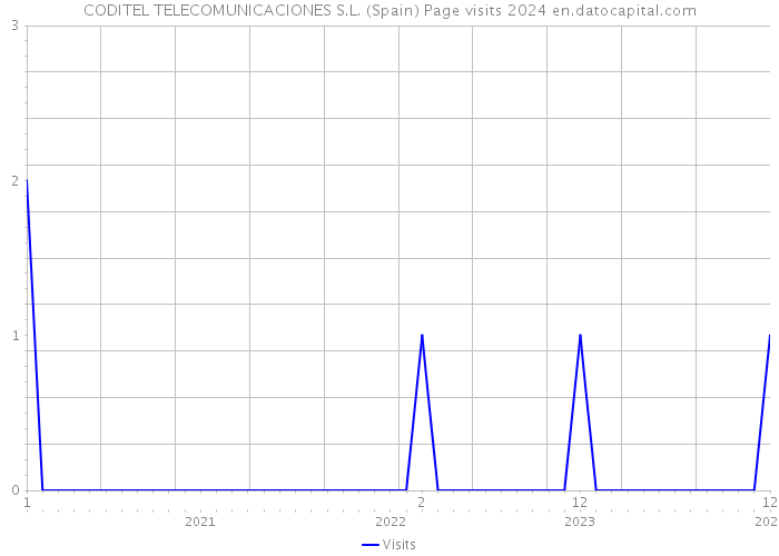 CODITEL TELECOMUNICACIONES S.L. (Spain) Page visits 2024 