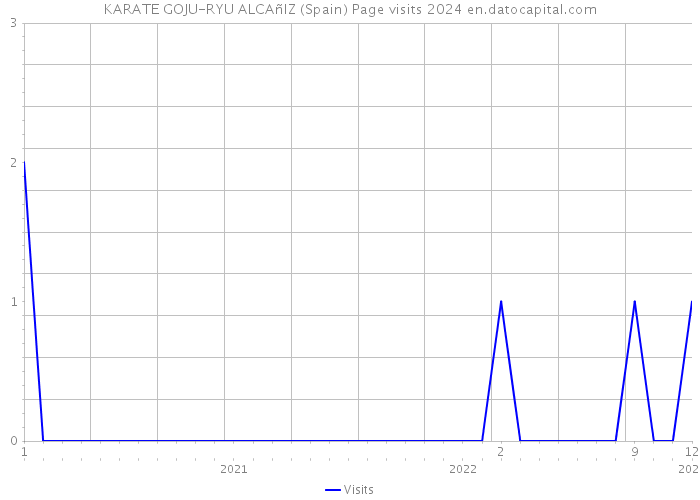 KARATE GOJU-RYU ALCAñIZ (Spain) Page visits 2024 