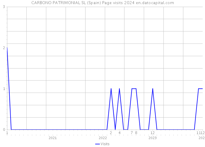 CARBONO PATRIMONIAL SL (Spain) Page visits 2024 