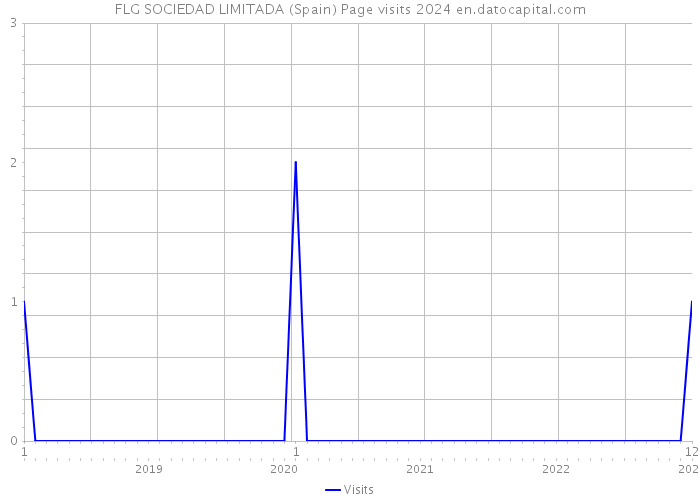 FLG SOCIEDAD LIMITADA (Spain) Page visits 2024 