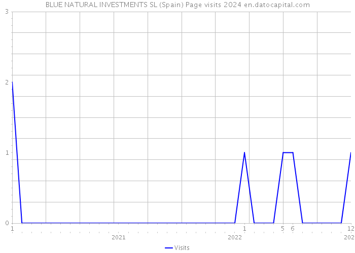 BLUE NATURAL INVESTMENTS SL (Spain) Page visits 2024 