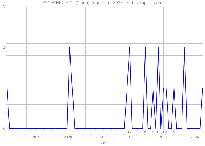 BSG ENERGIA SL (Spain) Page visits 2024 