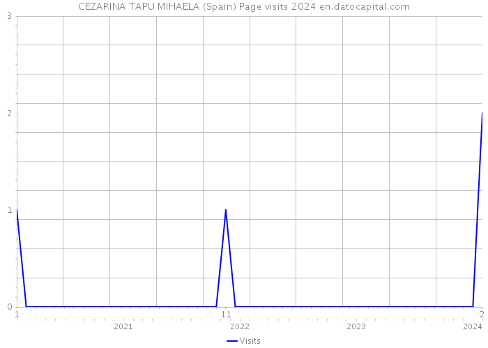 CEZARINA TAPU MIHAELA (Spain) Page visits 2024 