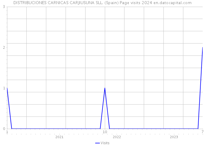 DISTRIBUCIONES CARNICAS CARJIUSUNA SLL. (Spain) Page visits 2024 