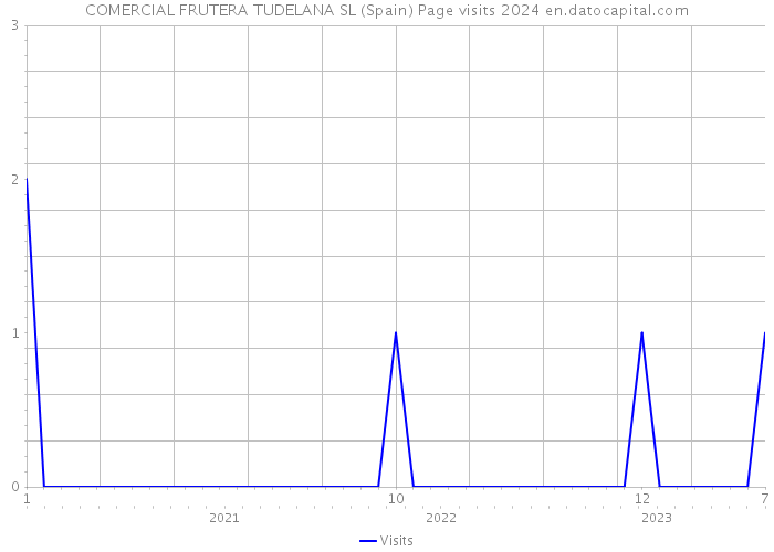 COMERCIAL FRUTERA TUDELANA SL (Spain) Page visits 2024 