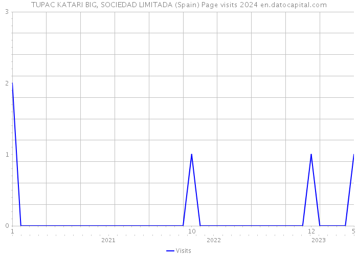 TUPAC KATARI BIG, SOCIEDAD LIMITADA (Spain) Page visits 2024 