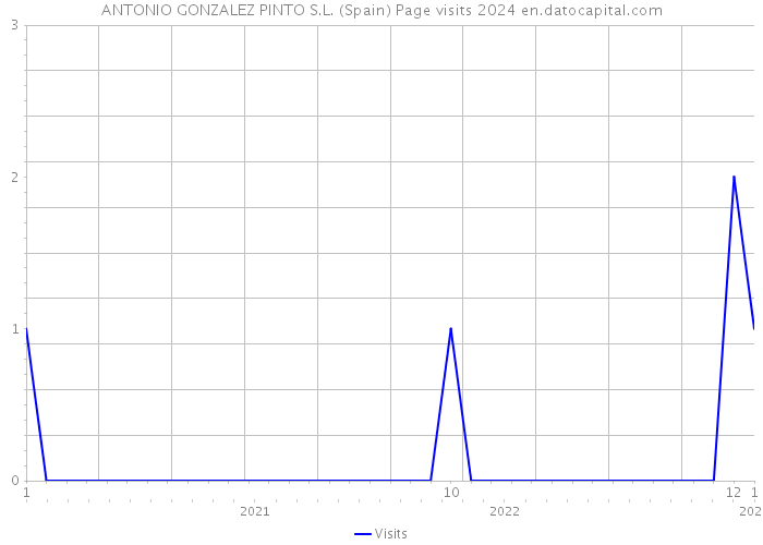 ANTONIO GONZALEZ PINTO S.L. (Spain) Page visits 2024 