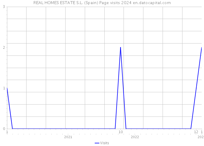 REAL HOMES ESTATE S.L. (Spain) Page visits 2024 