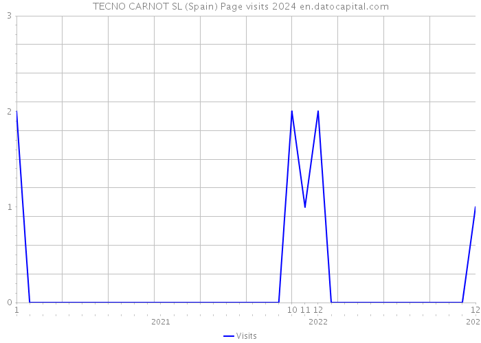 TECNO CARNOT SL (Spain) Page visits 2024 