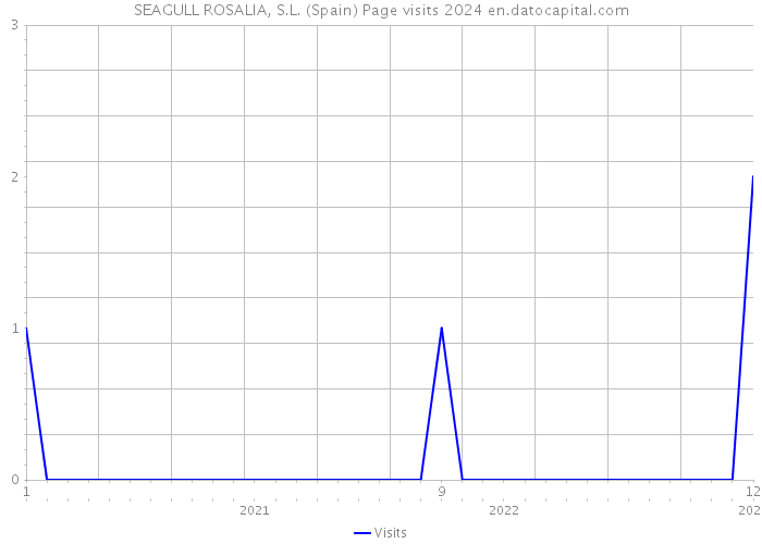 SEAGULL ROSALIA, S.L. (Spain) Page visits 2024 